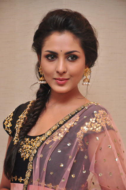 Telugu Actress Madhu Shalini Latest Pics In Pink Saree 4